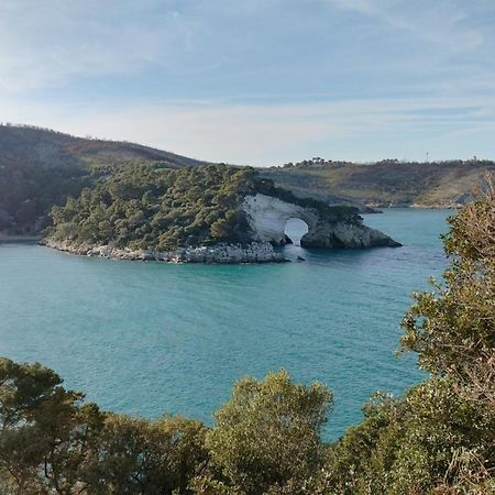B&B Casa Desimio Vieste Kültér fotó